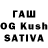 A PVP VHQ Shajedul Islam