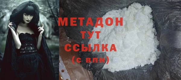 индика Горняк