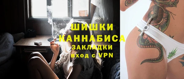 прущие грибы Гусев