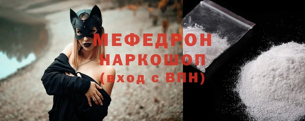 индика Горняк
