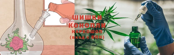 прущие грибы Гусев