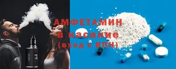 индика Горняк