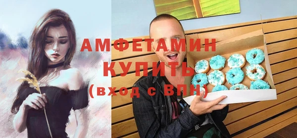 прущие грибы Гусев