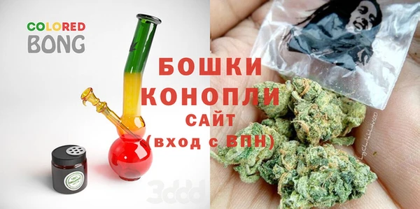 mdpv Горно-Алтайск