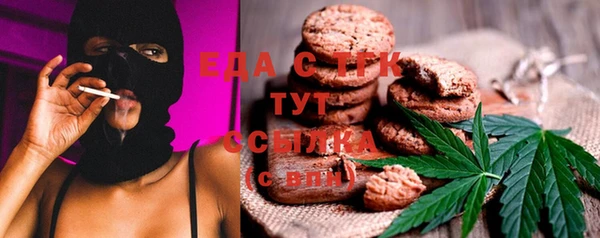 индика Горняк