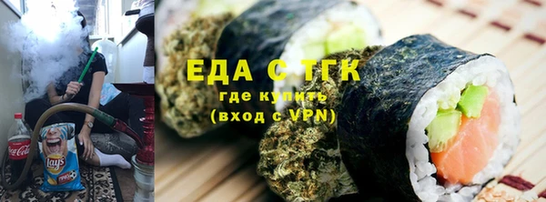 индика Горняк
